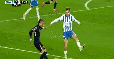 布莱顿赢球欢庆，纽卡斯尔遭遇连败