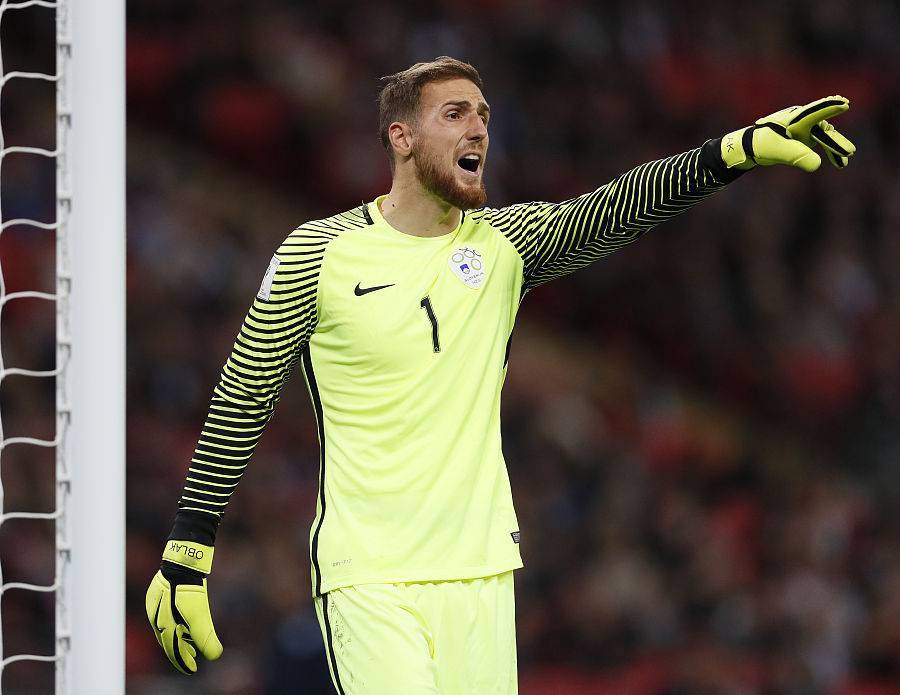 斯洛文尼亚击败斯洛伐克，取得关键胜利的简单介绍