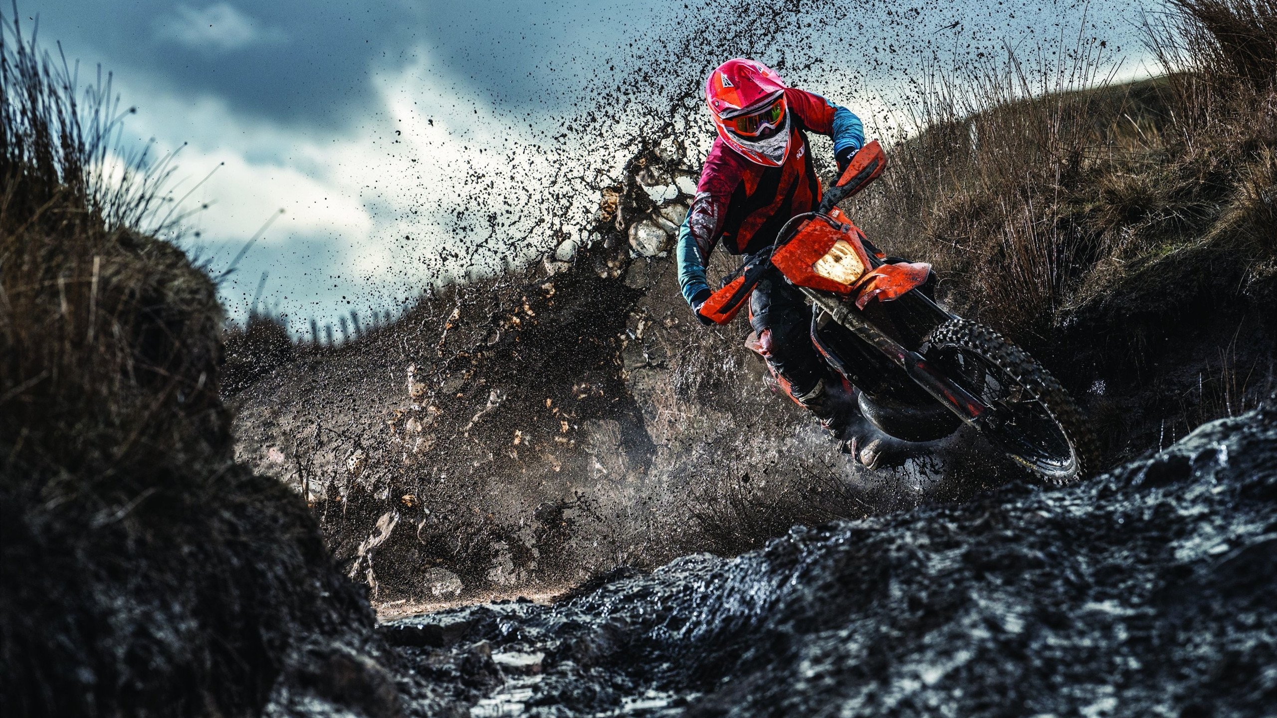 老鹰展翅强势晋级,武切维奇关键先生本色尽显